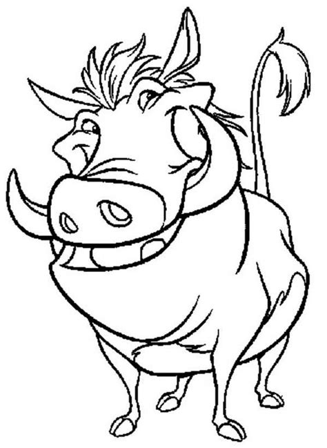 lion king timon  pumba coloring pages