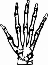 Hand Ray Clipart Skeleton Hands Clip Drawing Finger Cliparts Svg Skull Bones Rays Bone Pixabay Corrosive Panda Cartoon Gun Library sketch template