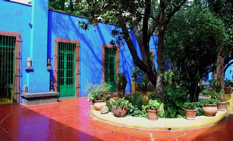 the intercontinental gardener burning blue frida kahlo