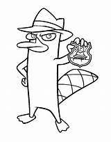 Spy Perry Coloring Pages Badge Holding Kids Ferb Phineas Categories Disney Cartoon sketch template