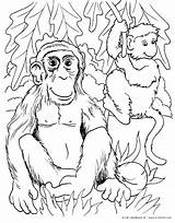 Monkey Coloring Kinderart Pdf Print Size sketch template
