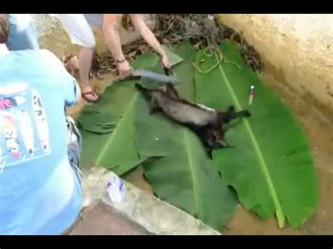 chinese woman killing  goat goat skinning  gatagani youtube qurbani beautifu girls