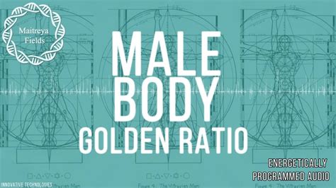 male body golden ratio maitreyafields
