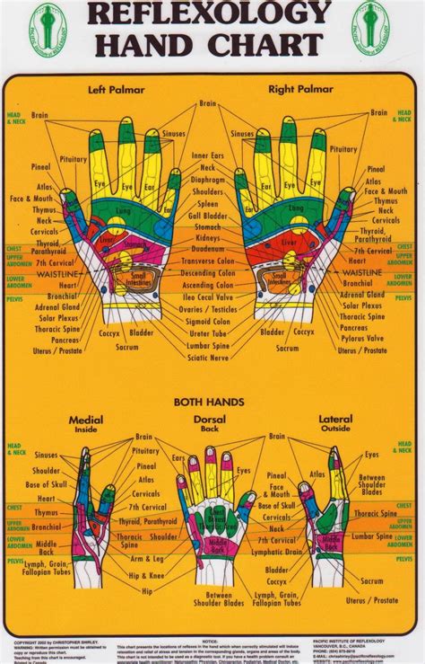 Hand Reflexology Chart Pacific Institute — Massage Therapy Supply