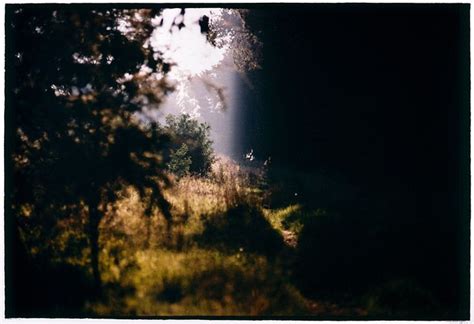 untitled 4 bill henson landscape reference