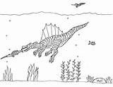 Spinosaurus Sawfish Coloring Pages Baryonyx After Suchomimus Robin Great Fishing sketch template
