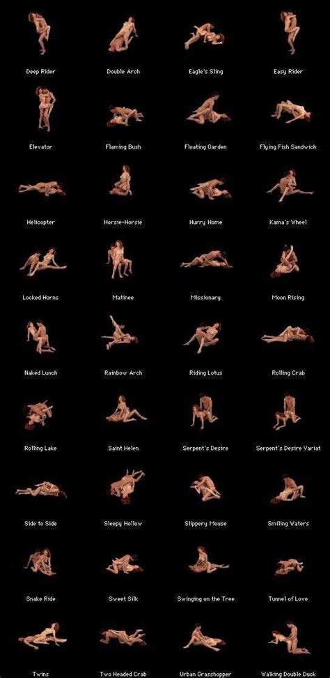 sex position chart