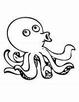 Octopuses sketch template