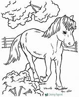 Coloring Horse Pony Pages Farm sketch template