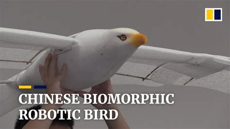 chinese biomorphic robotic bird youtube