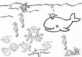 Sea Under Coloring Pages Drawing Printable Color Print Drawings Getdrawings Kids Without Getcolorings Designlooter Coloringtop sketch template