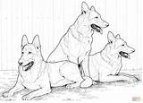 Coloring German Shepherd Pages Dog Printable Dogs Popular sketch template