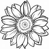 Sunflower Inkbox Printable Drawings Florecer Colouring Ilona sketch template
