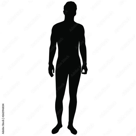 vector silhouette figure   man standing black color isolated