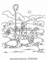 Shepherd Sheep Flock Coloring Staff Stock Shepherds Pages Shutterstock Template Sheet Good Bible sketch template