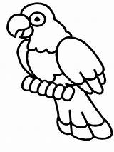 Printable Bird Coloring Outline Pages Kids Popular sketch template