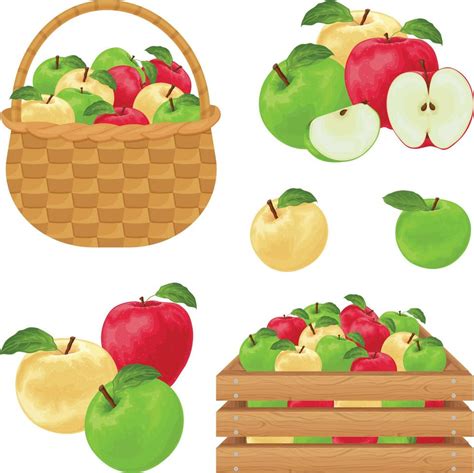 apples set  apples  red green  yellow colors apples