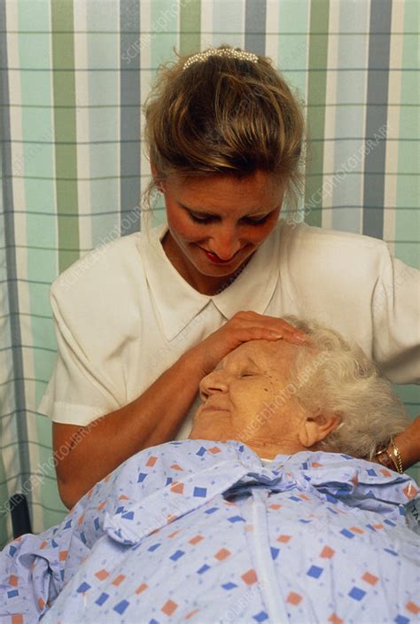 Elderly Woman Receives A Head And Neck Massage Stock Image M740