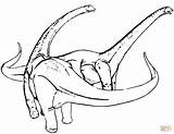Coloring Diplodocus Pages Two sketch template