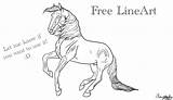 Breyer Horse Coloring Contest Pages Line Template Printable sketch template