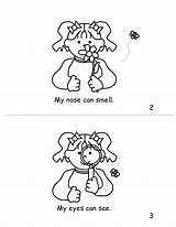 Senses Coloring Pages Five Adults Kids Printable Books Popular Coloringhome sketch template