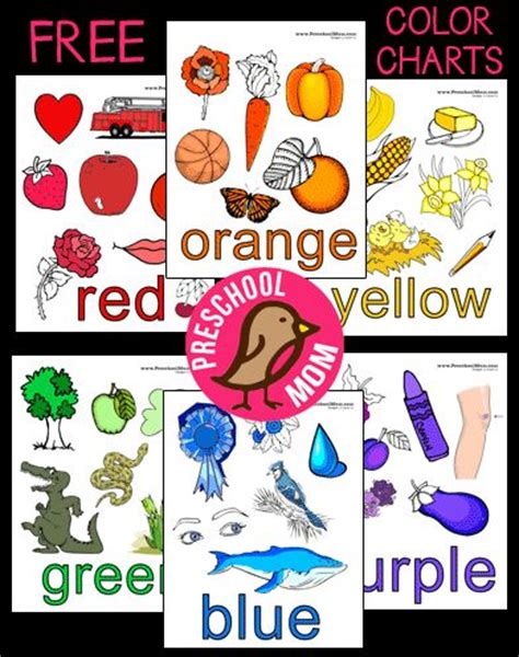 color chart preschool printables  preschool mom homeschool