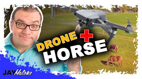 drone footage flying  drone  horses youtube