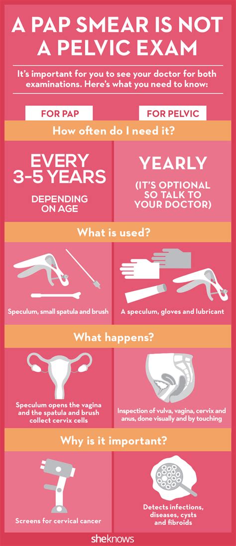 Pap Smear Vs Hpv Test An Overview Hot Sex Picture