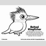 Kingfisher Belted Birdorable sketch template