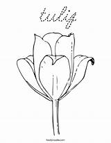 Coloring Tulip Cursive Built California Usa sketch template