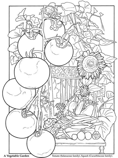 coloring page vegetable garden  svg images file