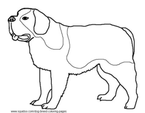 dog breed coloring pages hubpages