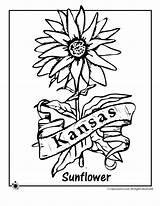 Coloring Kansas Pages Flower State Kids Printables Mountain sketch template