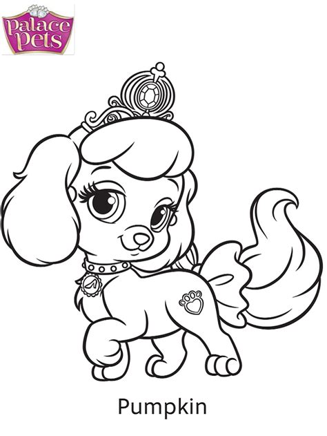 palace pets pumpkin coloring page  printable coloring pages  kids