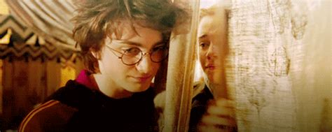why harry and hermione should have ended up together popsugar love and sex
