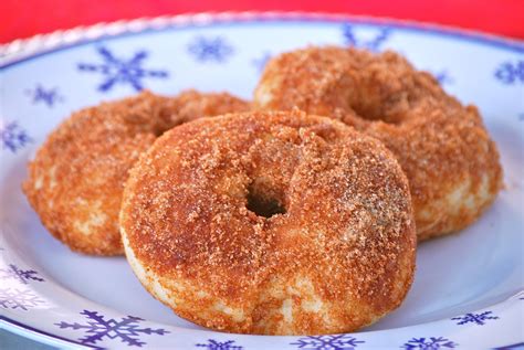 baked donuts  cinnamon sugar