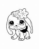 Coloring Pages Pet Puppy Baby Dog Lps Littlest Shop Cute Dogs Puppies Fluffy Printable Chihuahua Bunny Cat Little Print Kids sketch template