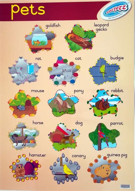 pets laminated poster mm  mm educational toys