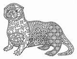 Otter Coloring Zentangle Sea Preview sketch template