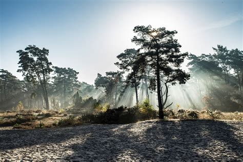 landschappen nederland landschapsfotografie natuurfotografie mooi landschap impressie fotograaf