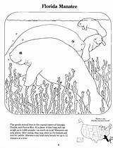 Manatee Tapestry sketch template