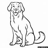Labrador Lab Coloring Retriever Golden Dog Pages Yellow Drawing Line Color Chocolate Puppy Dogs Thecolor Colouring Sitting Draw Printable Sticking sketch template