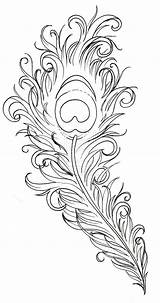 Feather Tattoo sketch template