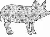 Pig Zentangle Vector sketch template