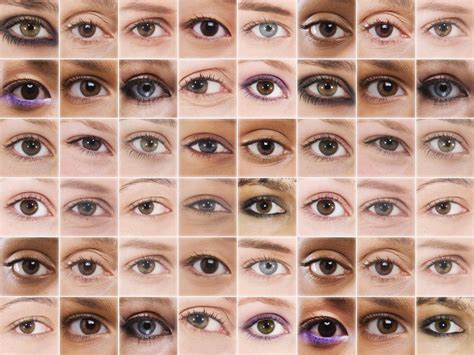 kolor oczu statystyki dziedziczenie tabele barw oczu