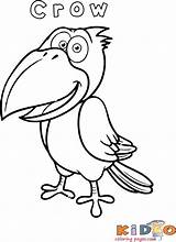 Crow Bird Coloringhome Kidocoloringpages sketch template
