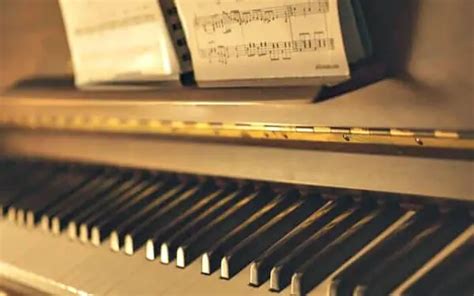 read piano notes  beginners