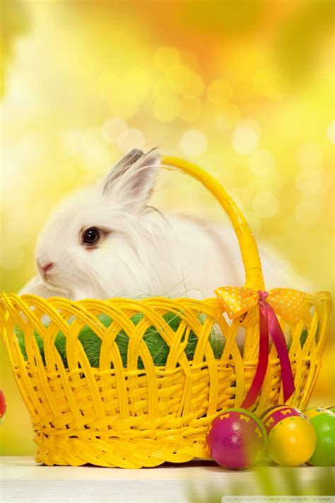 cute easter iphone wallpapers  ideas