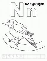 Letter Mewarnai Nightingale Abjad Colouring sketch template