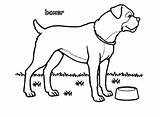 Boxer Pages Dog Coloring Empty Bowl Boxers Color Template Print Printable Search Utilising Button sketch template